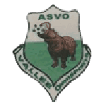 Logo ASVO